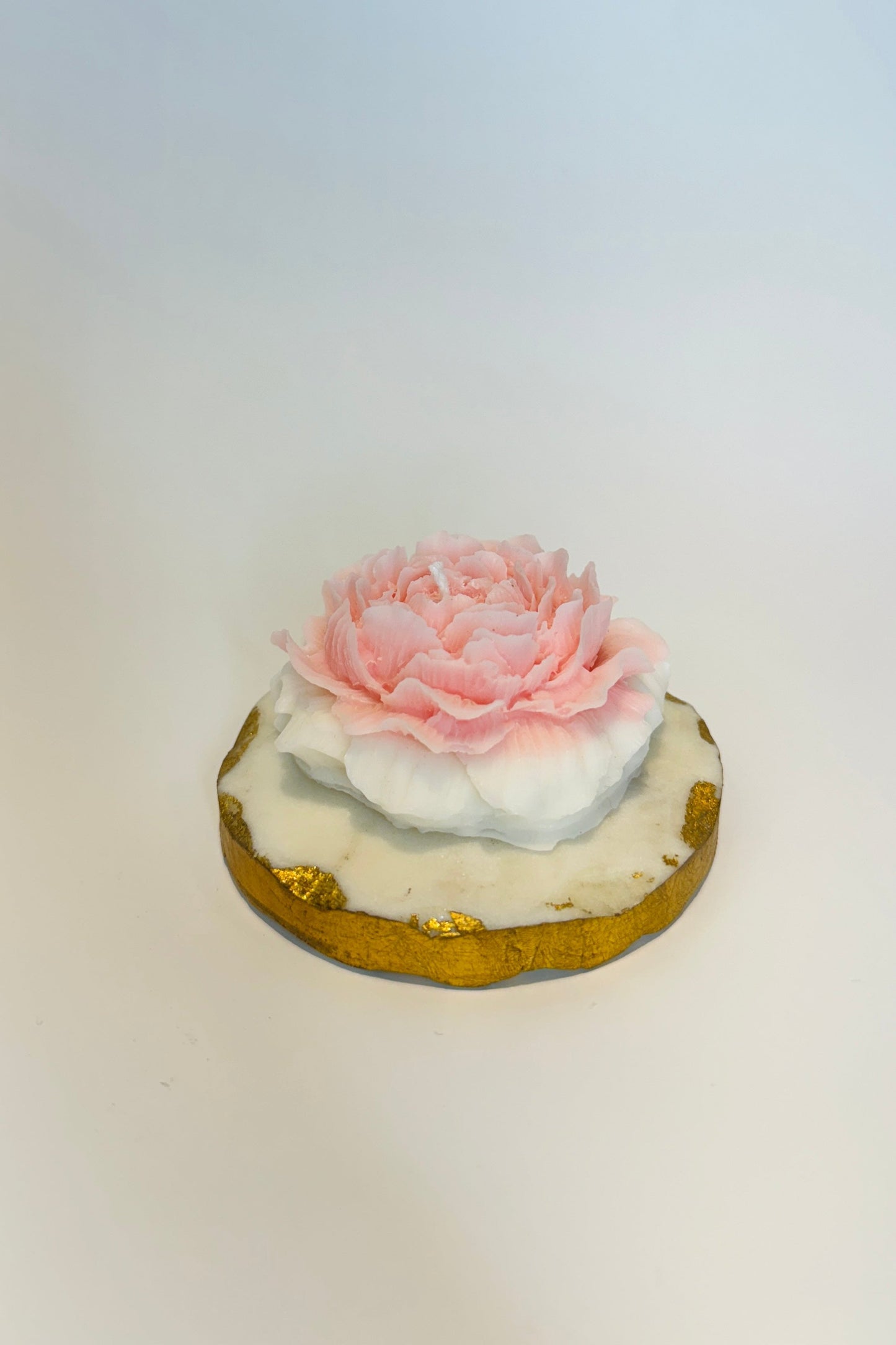 Ombre Peony Flower