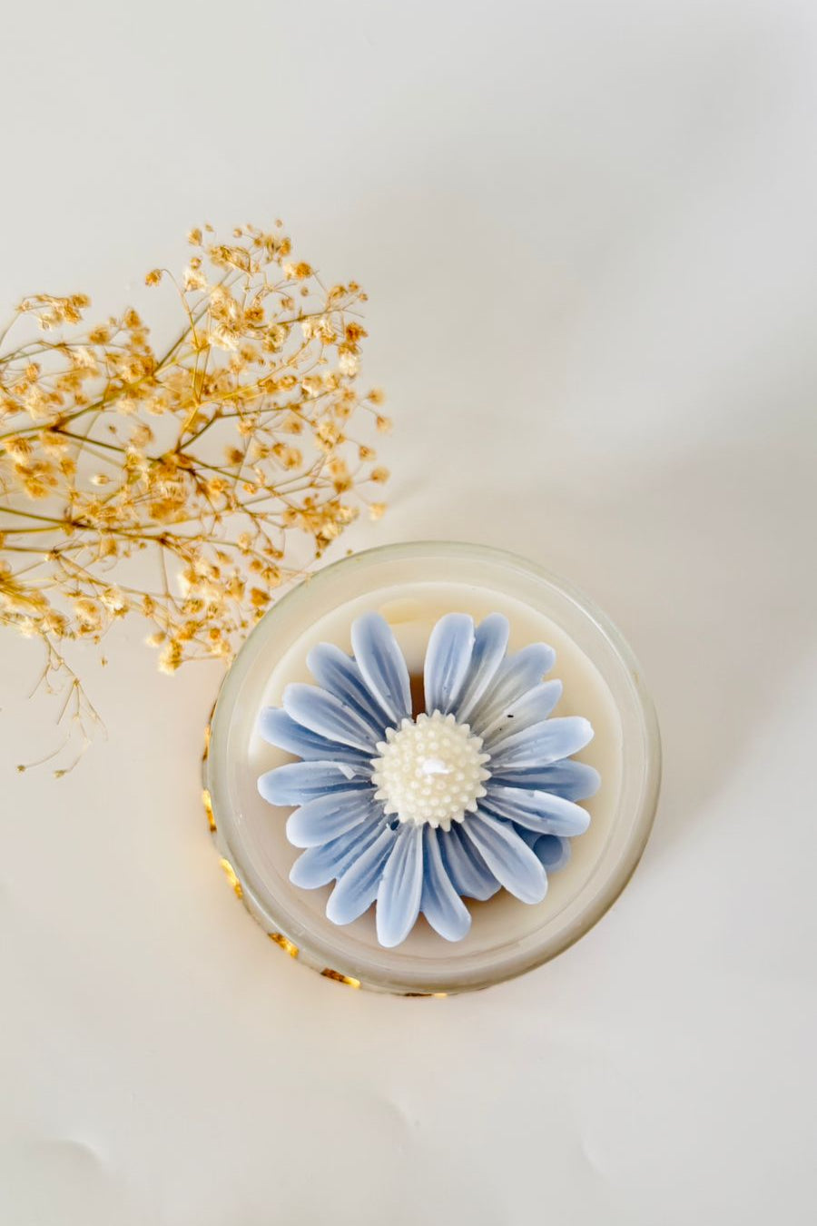 Sunflower in a Jar