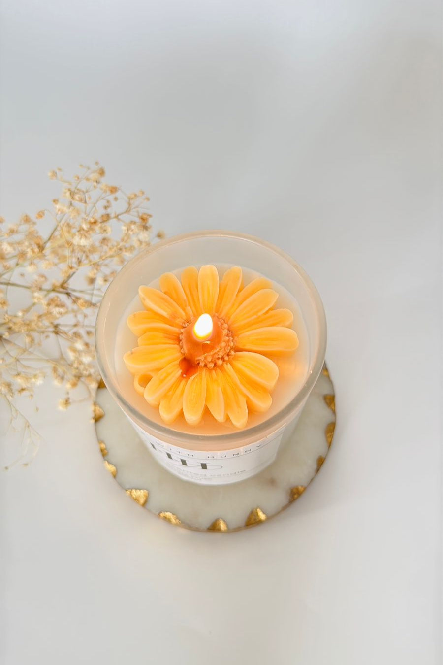 Sunflower in a Jar