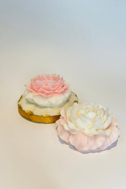 Ombre Peony Flower