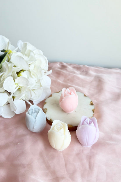 Small Tulip