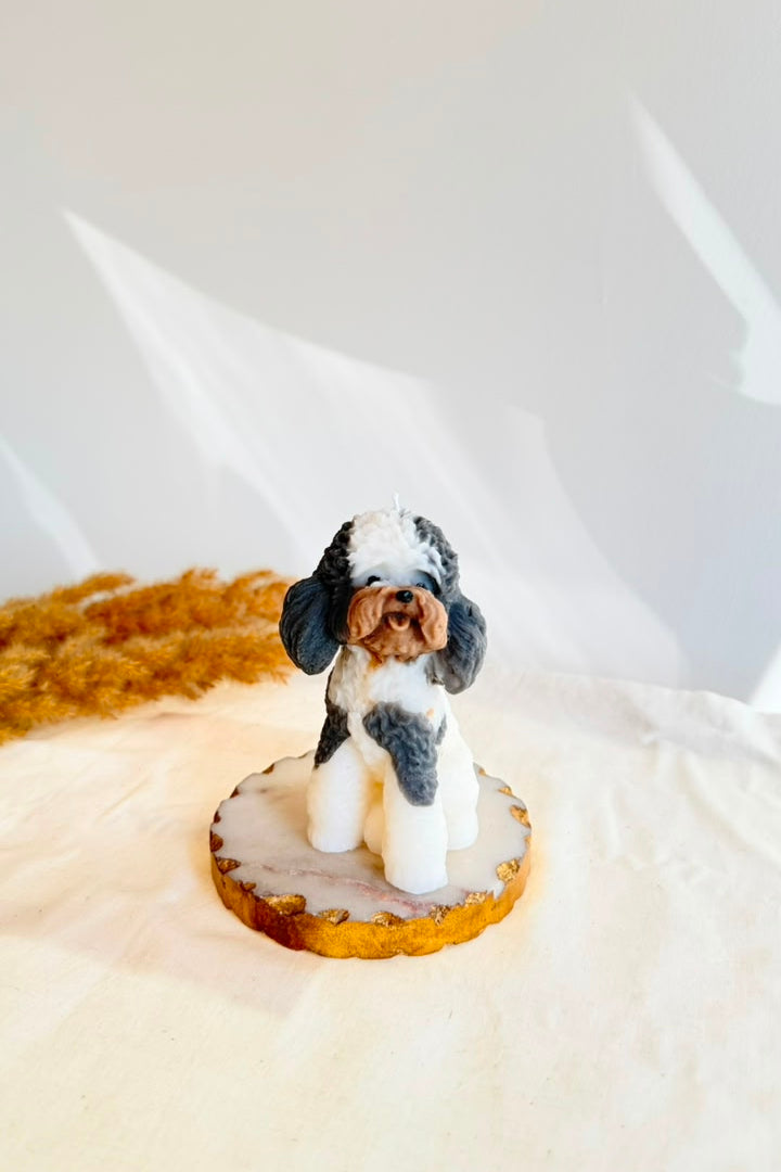 Snoopy Doggy