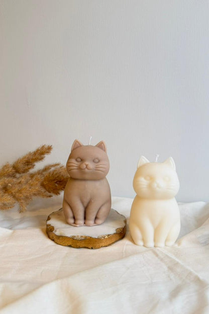 Chonky Cat