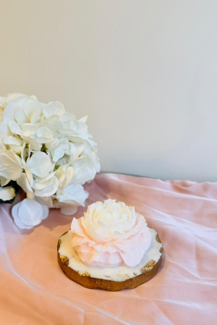 Ombre Peony Flower