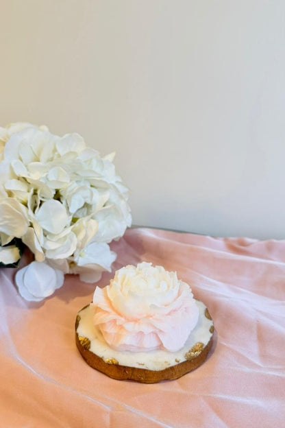 Ombre Peony Flower