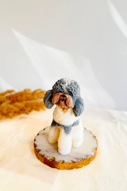 Snoopy Doggy