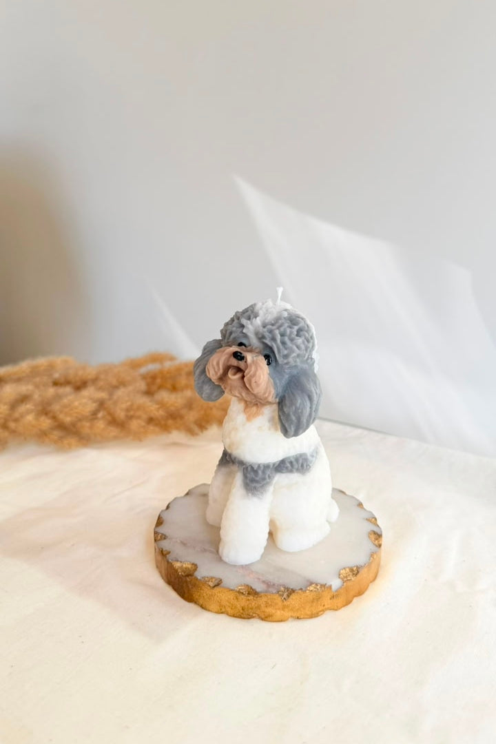 Snoopy Doggy