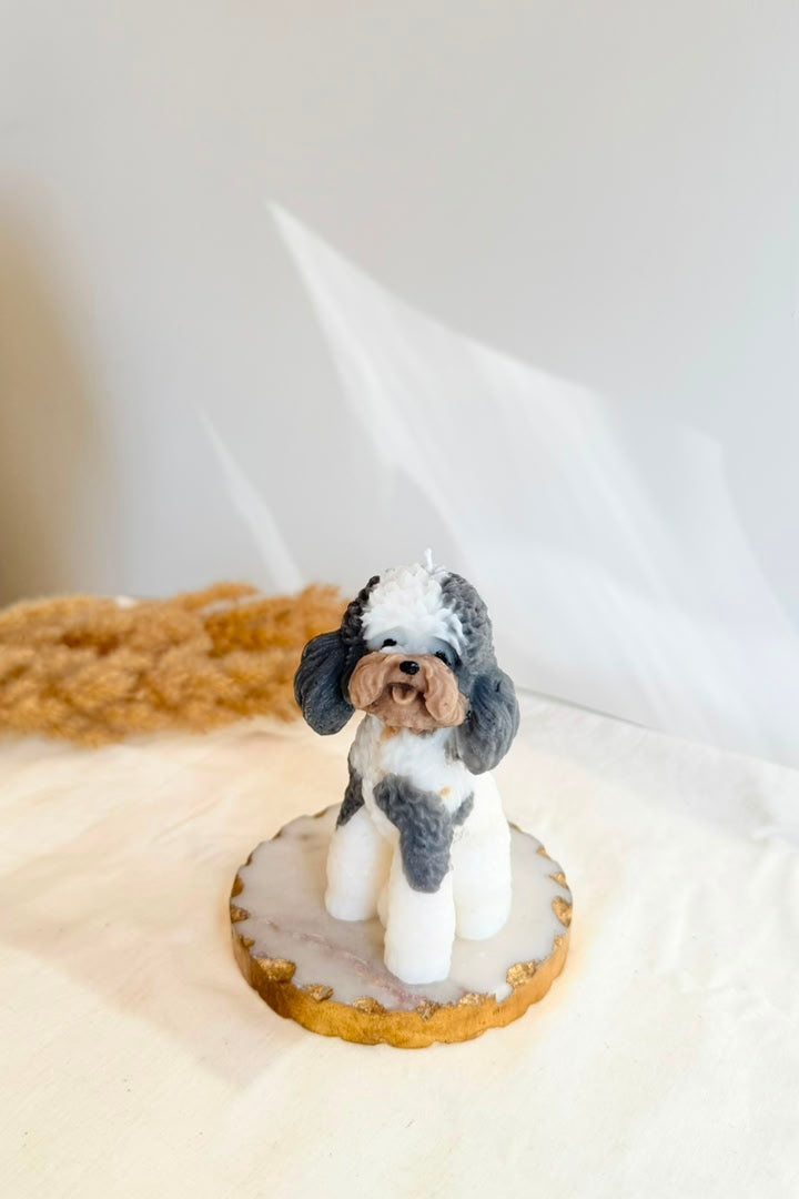 Snoopy Doggy