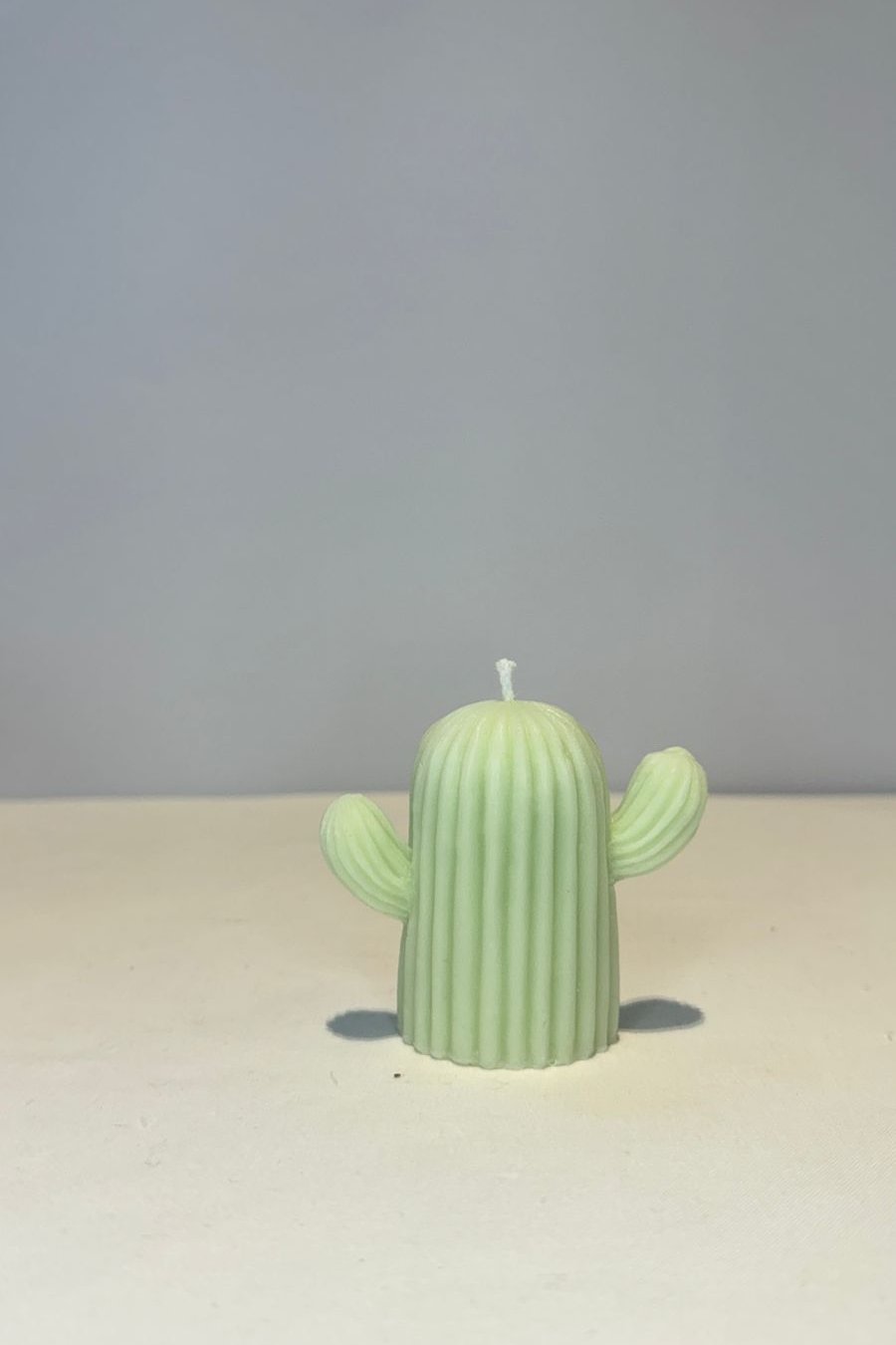 Cactus Candle