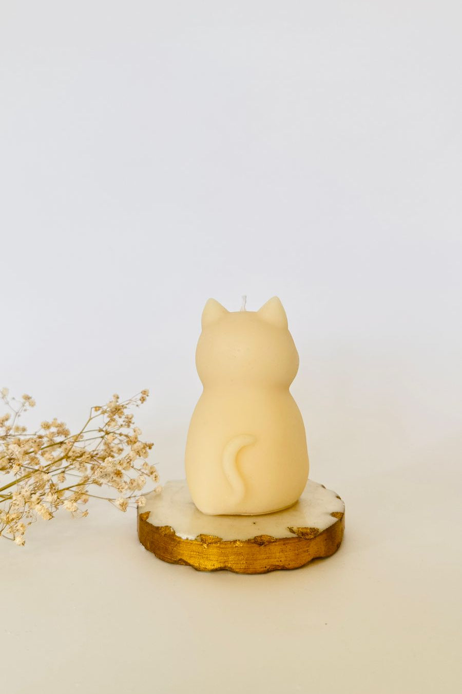 Chonky Cat