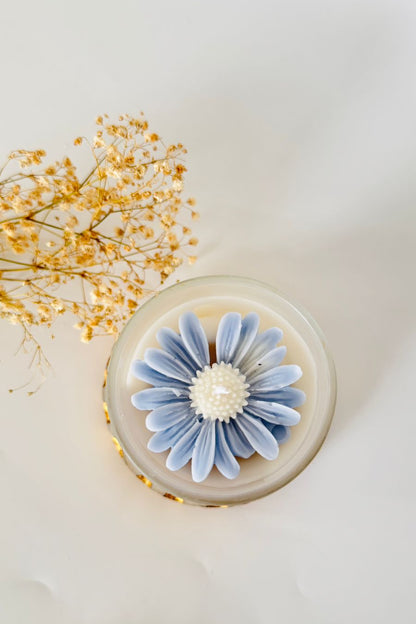 Sunflower in a Jar